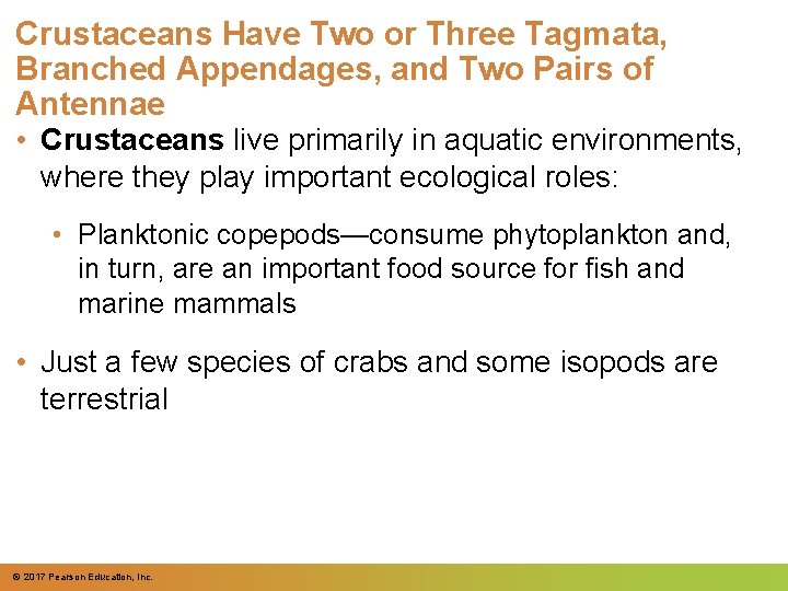 Crustaceans Have Two or Three Tagmata, Branched Appendages, and Two Pairs of Antennae •