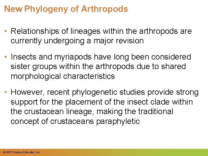 New Phylogeny of Arthropods • Relationships of lineages within the arthropods are currently undergoing