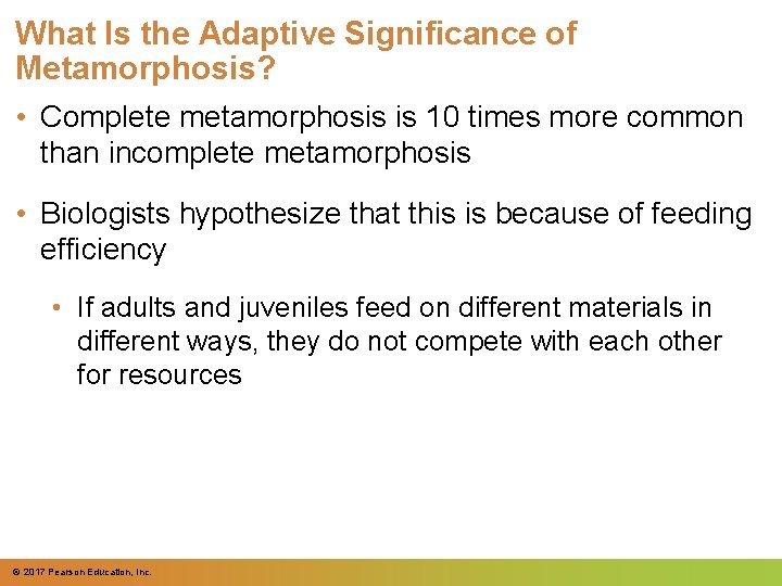 What Is the Adaptive Significance of Metamorphosis? • Complete metamorphosis is 10 times more