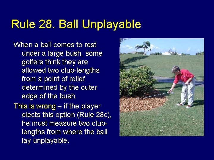 Rule 28. Ball Unplayable When a ball comes to rest under a large bush,