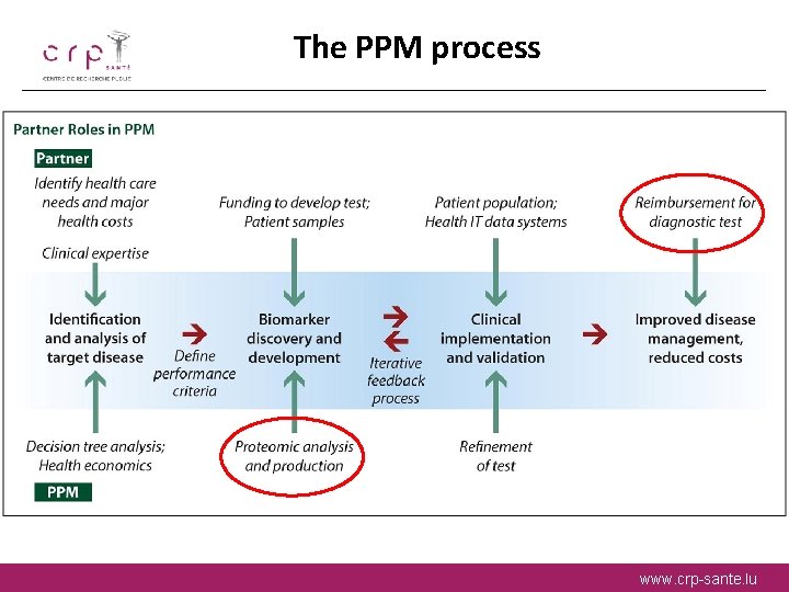 The PPM process www. crp-sante. lu 
