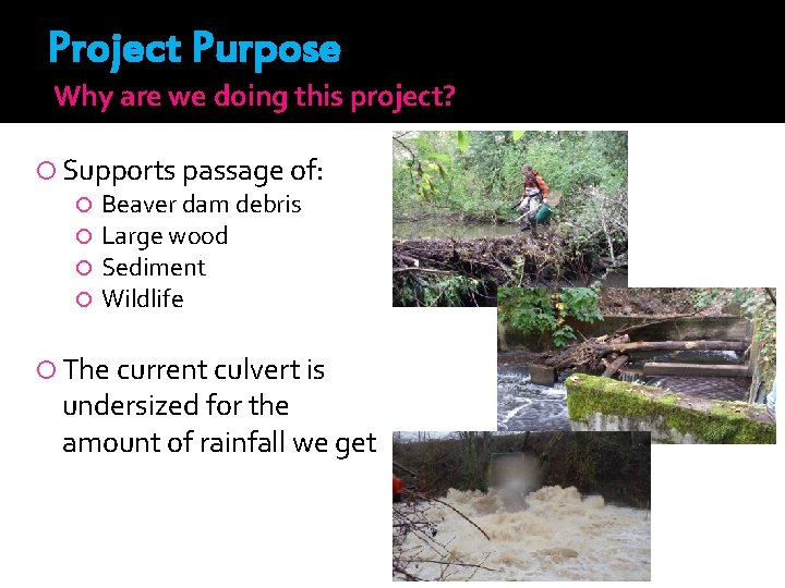 Project Purpose Why are we doing this project? Supports passage of: Beaver dam debris