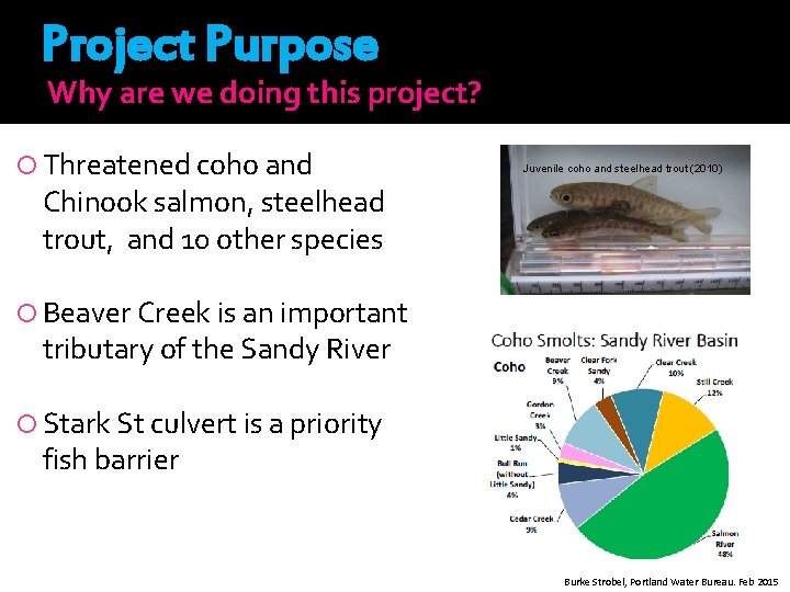 Project Purpose Why are we doing this project? Threatened coho and Juvenile coho and