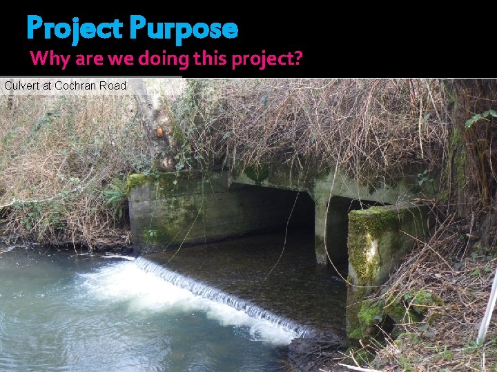 Project Purpose Why are we doing this project? Culvert at Cochran Road 