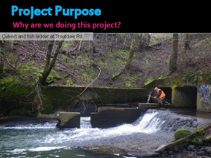 Project Purpose Why are we doing this project? Culvert and fish ladder at Troutdale