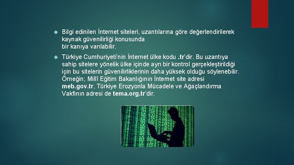 Bilgi edinilen İnternet siteleri, uzantılarına göre değerlendirilerek kaynak güvenilirliği konusunda bir kanıya varılabilir. Bilgi edinilen İnternet siteleri, uzantılarına göre değerlendirilerek kaynak güvenilirliği konusunda bir kanıya varılabilir.