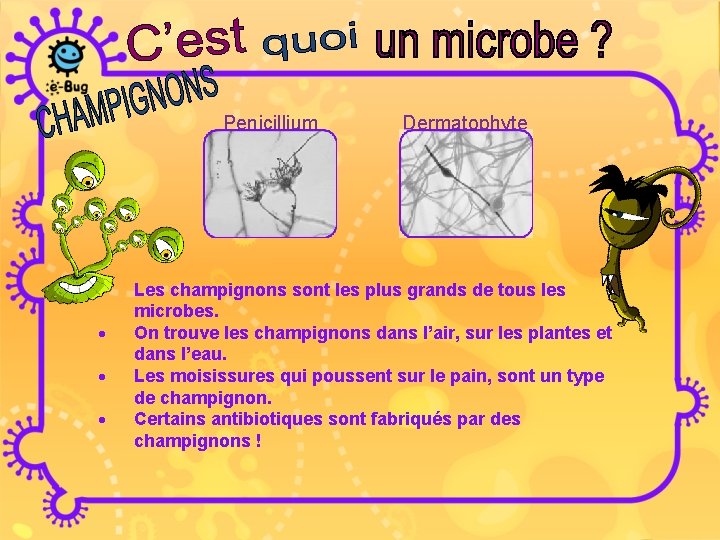 Penicillium · · Dermatophyte Les champignons sont les plus grands de tous les microbes.