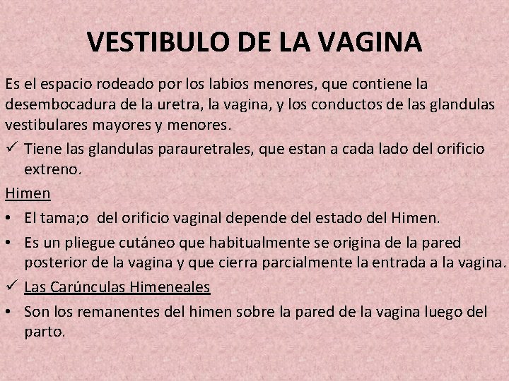 VESTIBULO DE LA VAGINA Es el espacio rodeado por los labios menores, que contiene