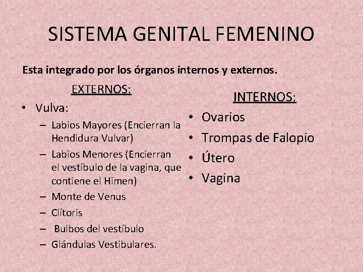 SISTEMA GENITAL FEMENINO Esta integrado por los órganos internos y externos. EXTERNOS: • Vulva: