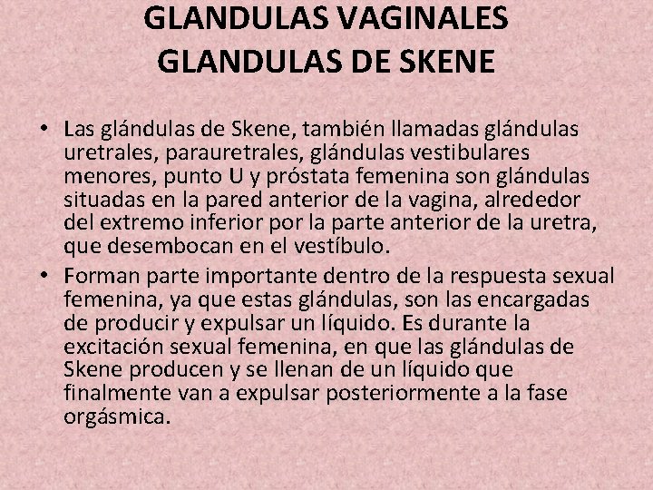 GLANDULAS VAGINALES GLANDULAS DE SKENE • Las glándulas de Skene, también llamadas glándulas uretrales,