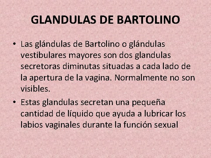 GLANDULAS DE BARTOLINO • Las glándulas de Bartolino o glándulas vestibulares mayores son dos