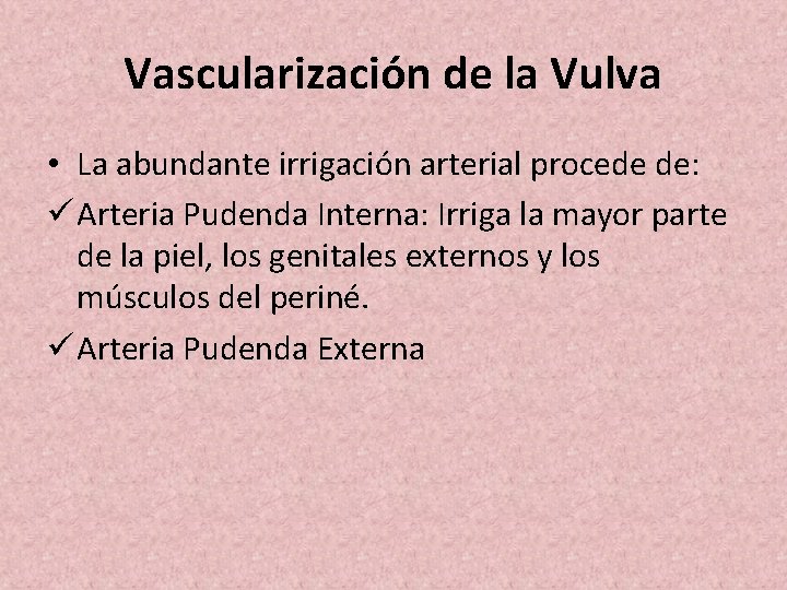Vascularización de la Vulva • La abundante irrigación arterial procede de: ü Arteria Pudenda