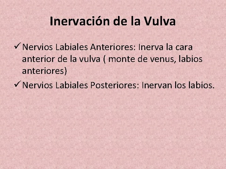 Inervación de la Vulva ü Nervios Labiales Anteriores: Inerva la cara anterior de la