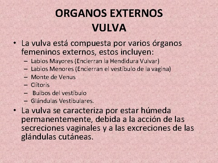 ORGANOS EXTERNOS VULVA • La vulva está compuesta por varios órganos femeninos externos, estos