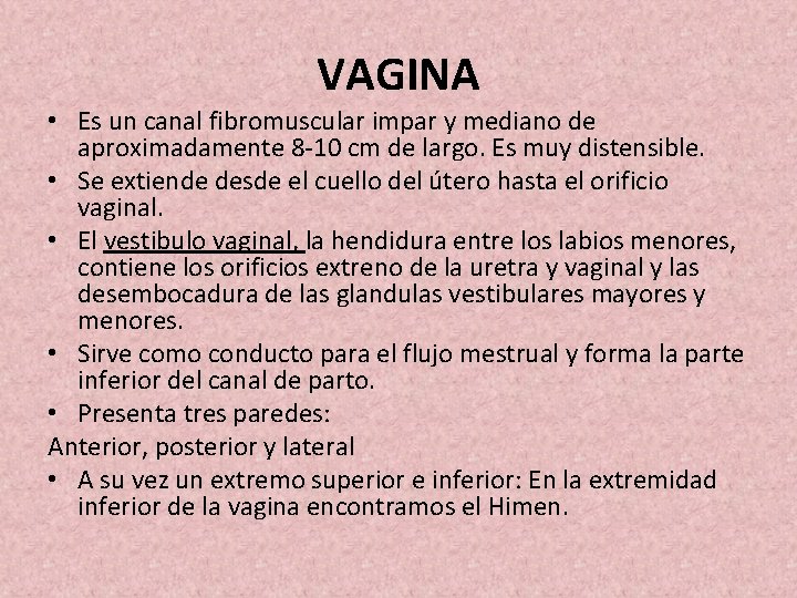 VAGINA • Es un canal fibromuscular impar y mediano de aproximadamente 8 -10 cm