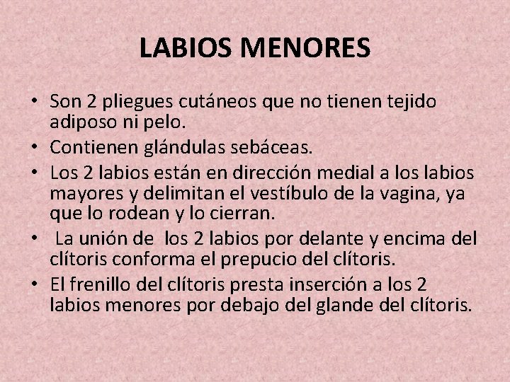 LABIOS MENORES • Son 2 pliegues cutáneos que no tienen tejido adiposo ni pelo.