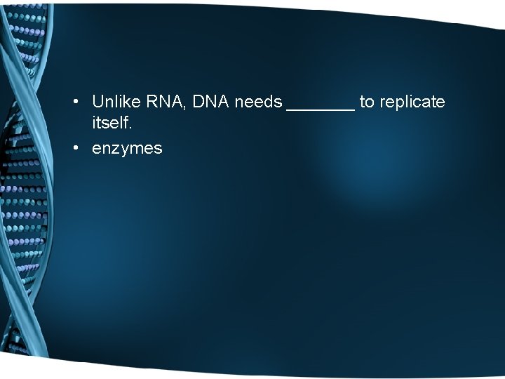  • Unlike RNA, DNA needs _______ to replicate itself. • enzymes 