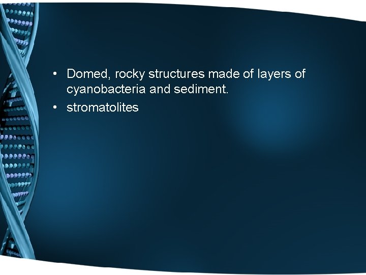  • Domed, rocky structures made of layers of cyanobacteria and sediment. • stromatolites