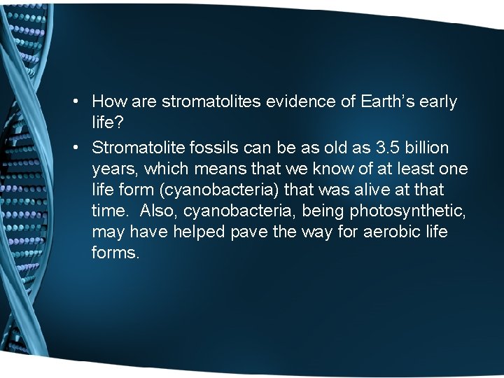  • How are stromatolites evidence of Earth’s early life? • Stromatolite fossils can