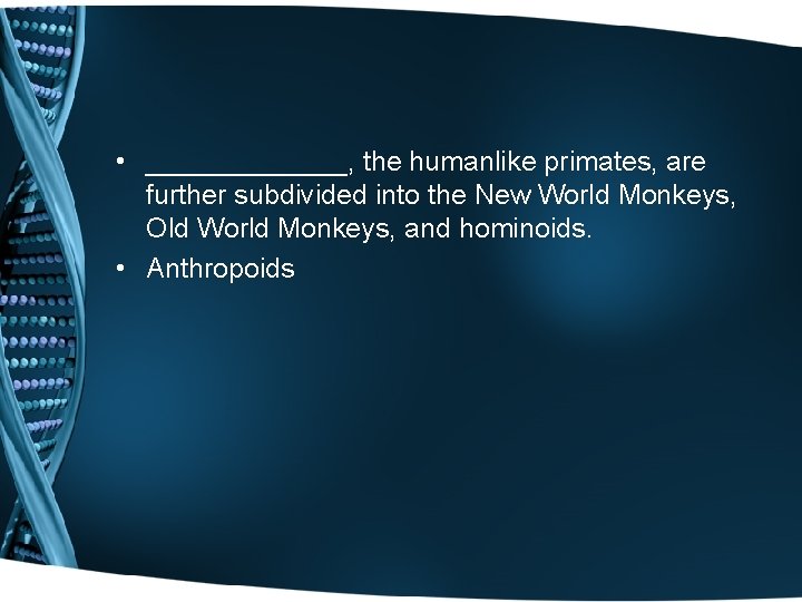  • _______, the humanlike primates, are further subdivided into the New World Monkeys,