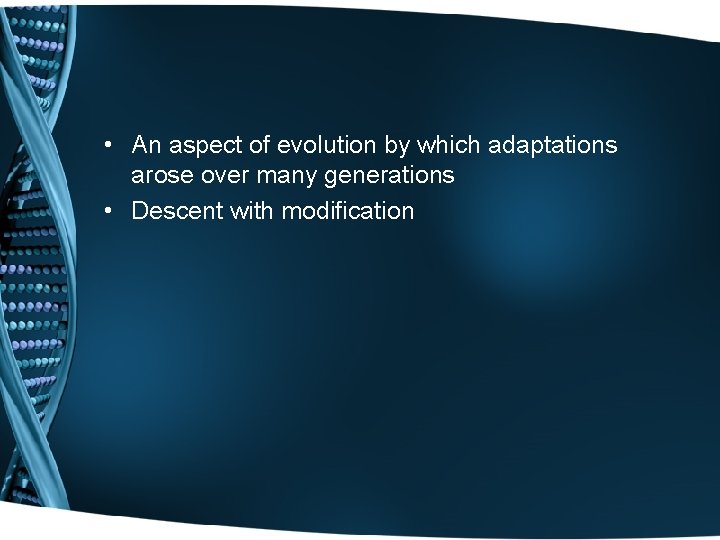  • An aspect of evolution by which adaptations arose over many generations •