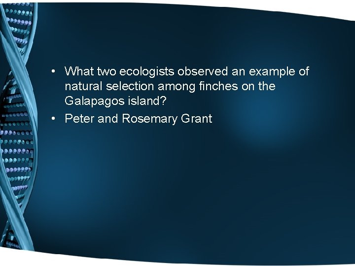  • What two ecologists observed an example of natural selection among finches on