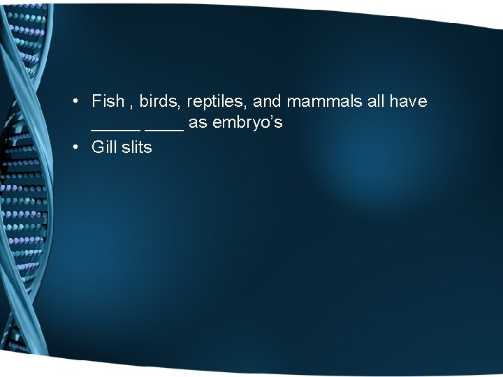  • Fish , birds, reptiles, and mammals all have _____ as embryo’s •