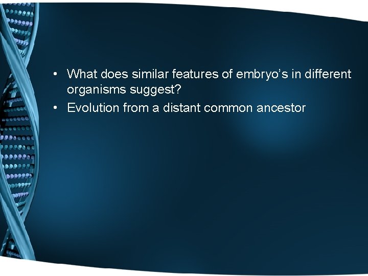  • What does similar features of embryo’s in different organisms suggest? • Evolution