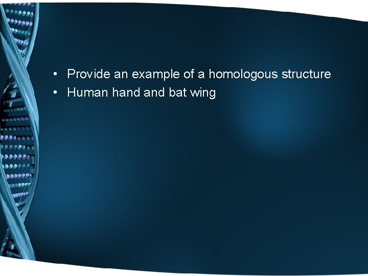  • Provide an example of a homologous structure • Human hand bat wing