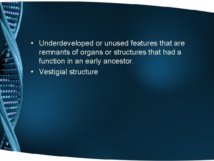  • Underdeveloped or unused features that are remnants of organs or structures that