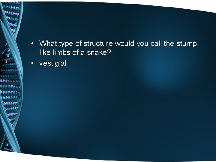  • What type of structure would you call the stumplike limbs of a