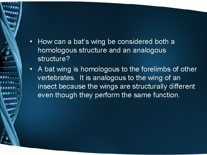  • How can a bat’s wing be considered both a homologous structure and