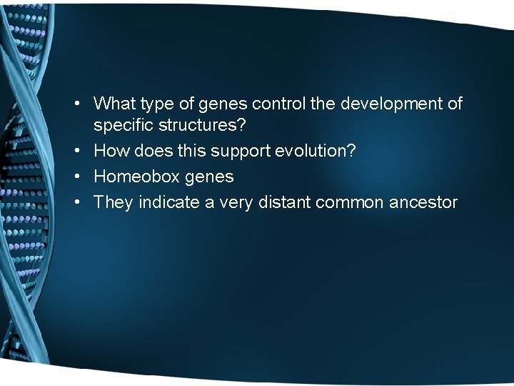  • What type of genes control the development of specific structures? • How