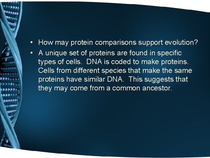  • How may protein comparisons support evolution? • A unique set of proteins