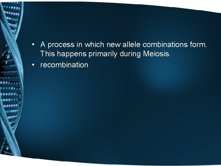  • A process in which new allele combinations form. This happens primarily during