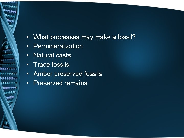  • • • What processes may make a fossil? Permineralization Natural casts Trace