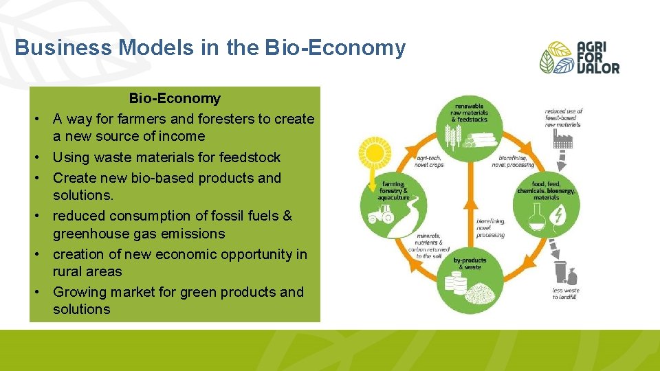 Business Models in the Bio-Economy • • • Bio-Economy A way for farmers and