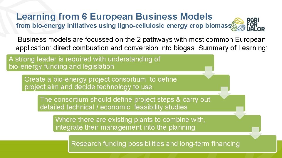 Learning from 6 European Business Models from bio-energy initiatives using ligno-cellulosic energy crop biomass