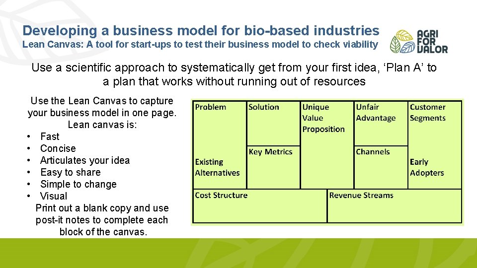 Developing a business model for bio-based industries Lean Canvas: A tool for start-ups to