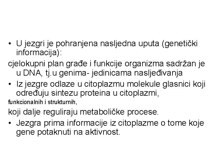  • U jezgri je pohranjena nasljedna uputa (genetički informacija): cjelokupni plan građe i