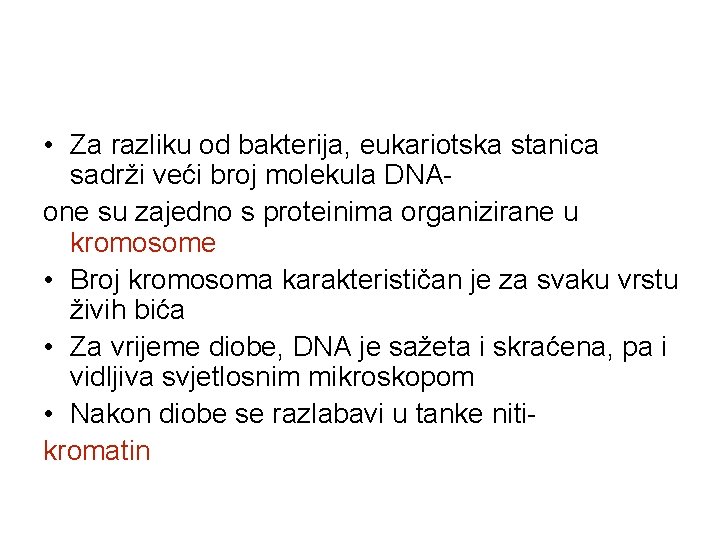  • Za razliku od bakterija, eukariotska stanica sadrži veći broj molekula DNAone su