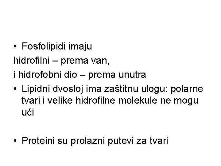  • Fosfolipidi imaju hidrofilni – prema van, i hidrofobni dio – prema unutra