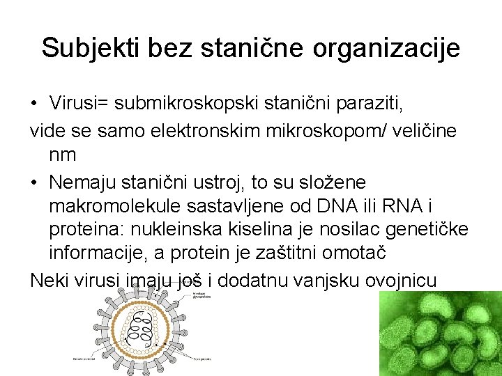 Subjekti bez stanične organizacije • Virusi= submikroskopski stanični paraziti, vide se samo elektronskim mikroskopom/