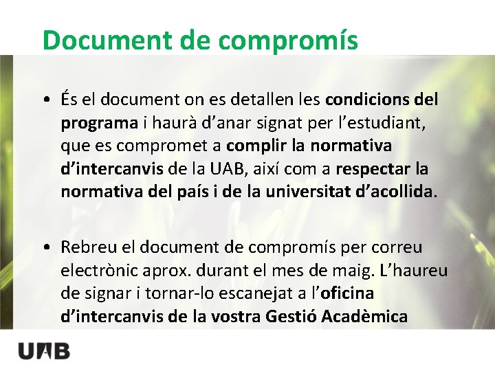 Document de compromís • És el document on es detallen les condicions del programa