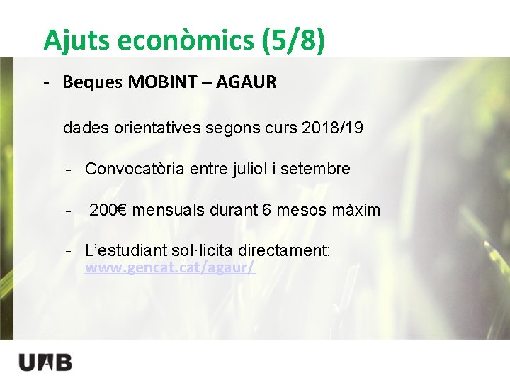 Ajuts econòmics (5/8) - Beques MOBINT – AGAUR dades orientatives segons curs 2018/19 -