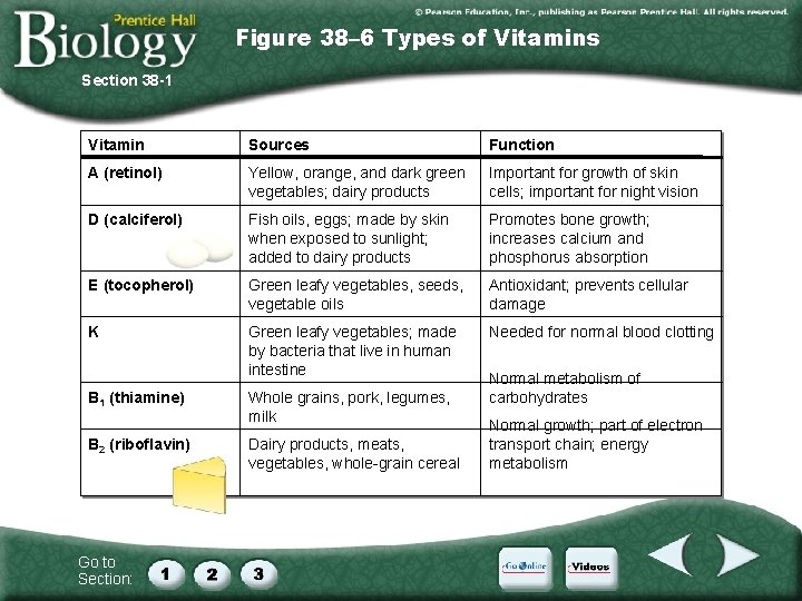 Figure 38– 6 Types of Vitamins Section 38 -1 Vitamin Sources Function A (retinol)