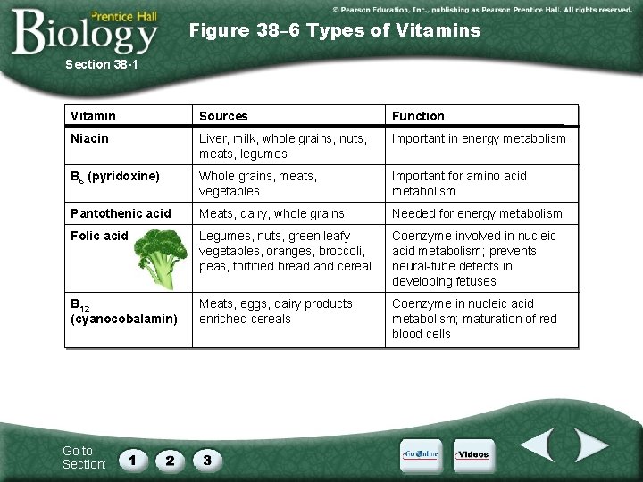 Figure 38– 6 Types of Vitamins Section 38 -1 Vitamin Sources Function Niacin Liver,