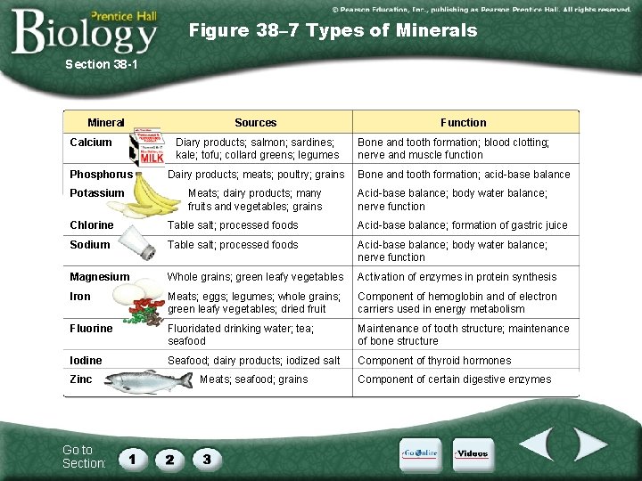 Figure 38– 7 Types of Minerals Section 38 -1 Mineral Calcium Phosphorus Potassium Sources