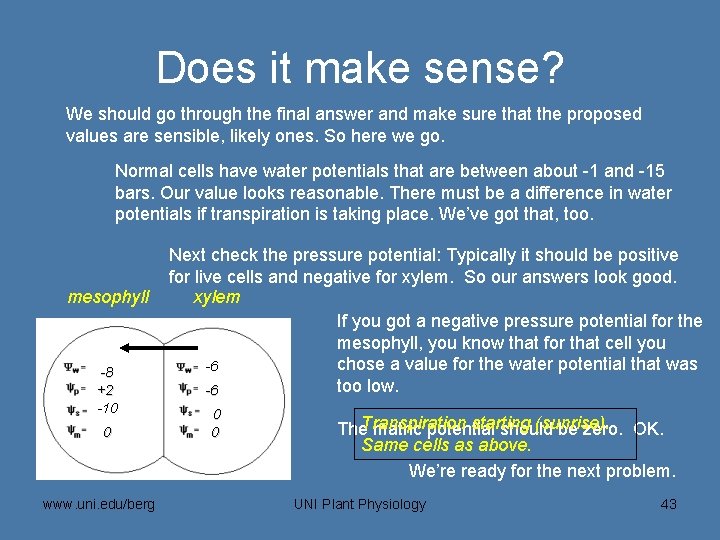 Does it make sense? We should go through the final answer and make sure