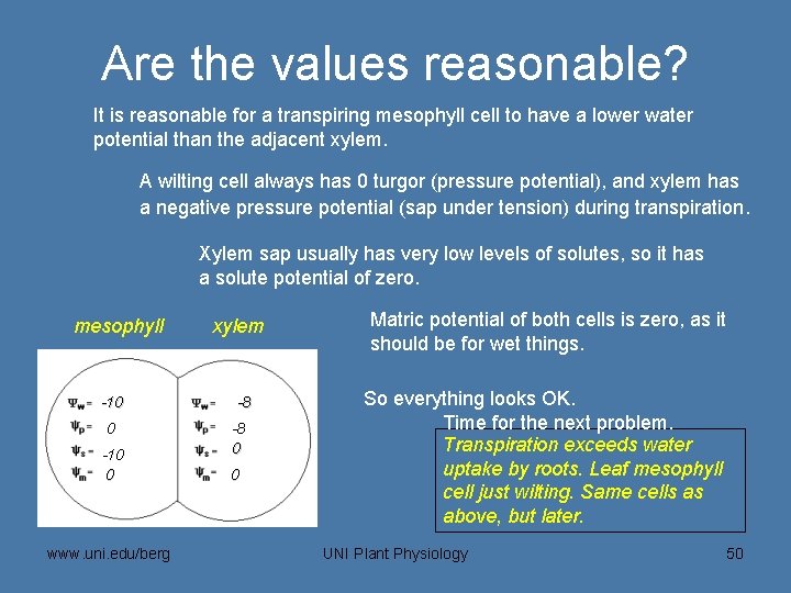 Are the values reasonable? It is reasonable for a transpiring mesophyll cell to have